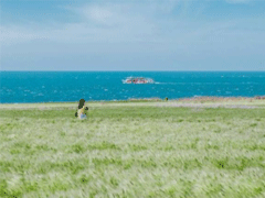 朋友圈励志说说经典大全 励志的话简短霸气